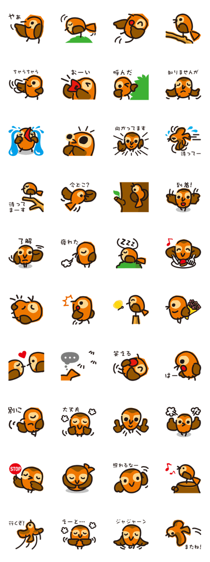 Sparrow Chon
