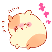 Cute Hamsters in Love