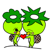 kaapa sama~oira no koi~