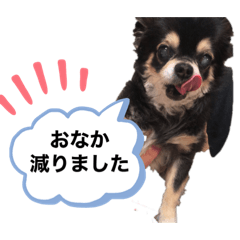 Arisa_20200924173917