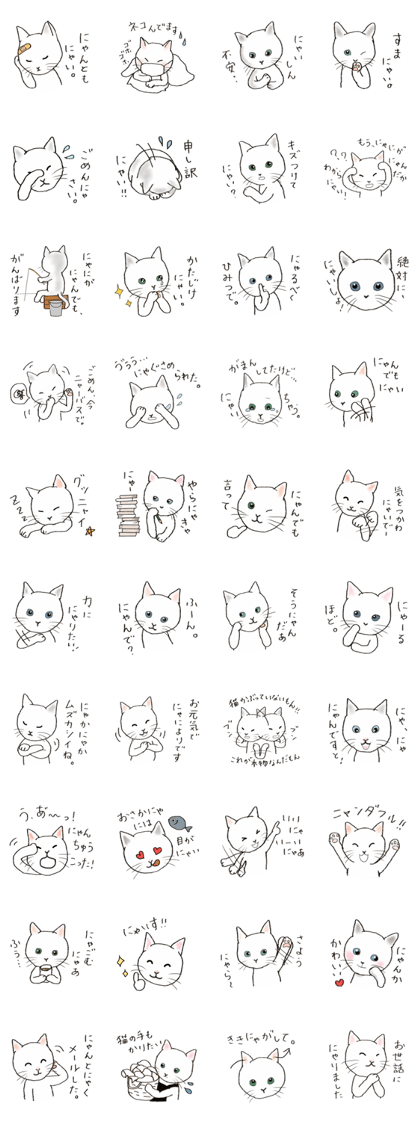 Daily conversation of never Nyante cat