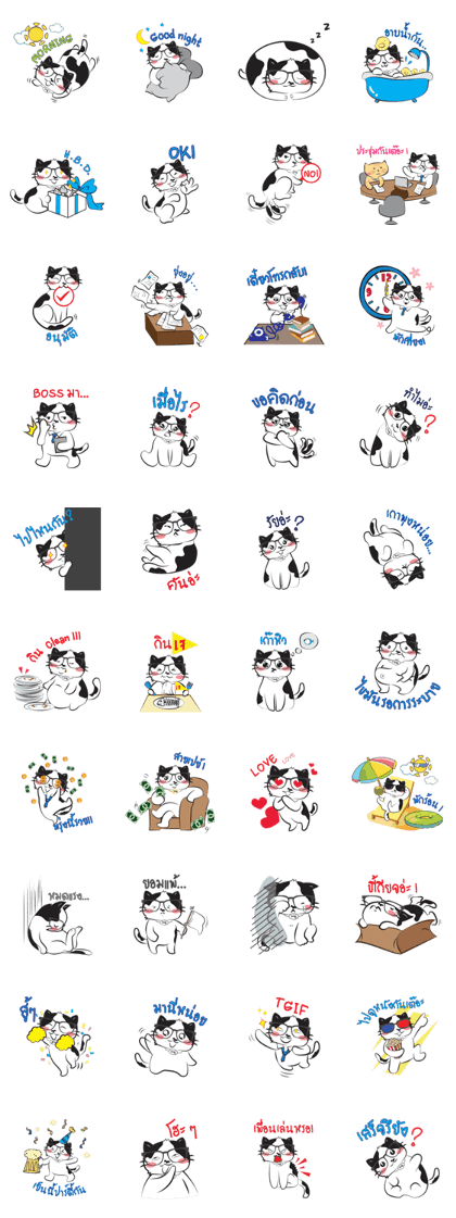 Birthmark Cat's Story