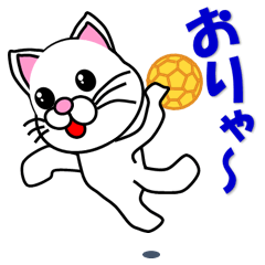 A white cat which plays handball