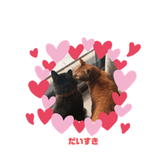 かっこいいどらおくん