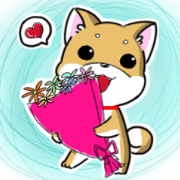 Shiba Inu_Q