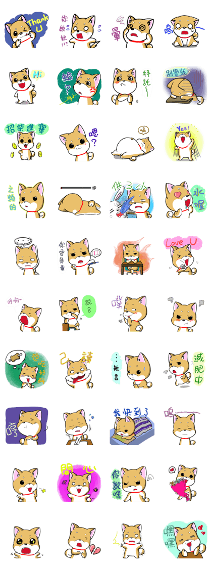Shiba Inu_Q