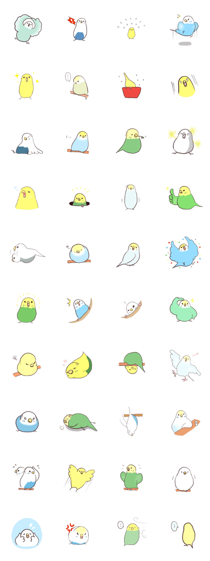 Budgerigar mood part3