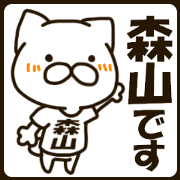 MORIYAMA-cat