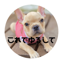 Arisa_20200924203500