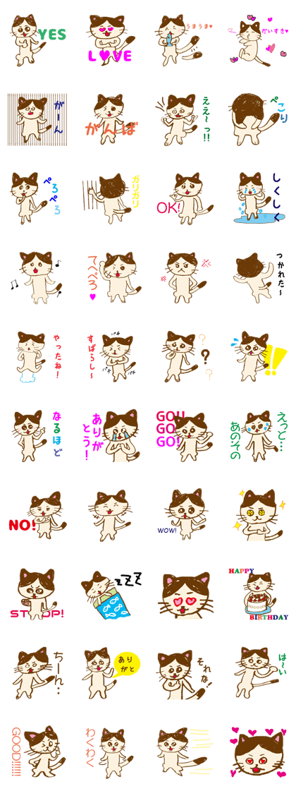 ao'sCAT!