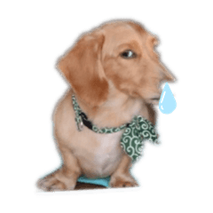 natsumi_20200925013550