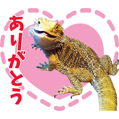 SAKAMORTOKENOKOSOMOTACHI Sticker2