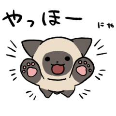 Siamese cat sticker:2 3