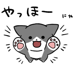 Gray bicolor cat sticker 2