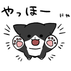 Black bicolor cat sticker2