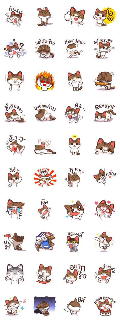 Gum-Poong The Cat