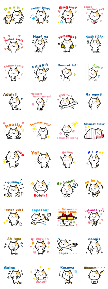 "MAYUNEKO" The cats with eyebrows!3