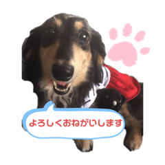 miki_20200925113551
