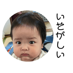 cocoa_20200925083407