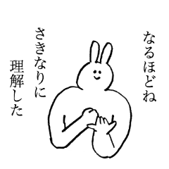 Rabbit's name is Saki