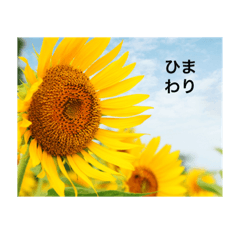 chihiro_20200925005351