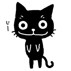 真っ黒な黒ネコ4