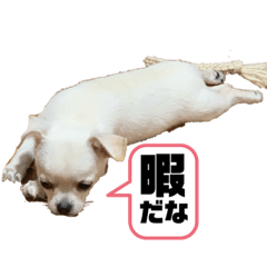 HIROKI_20200925113927