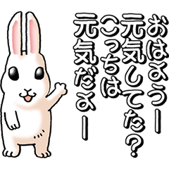 Rabbit with a lot of words
