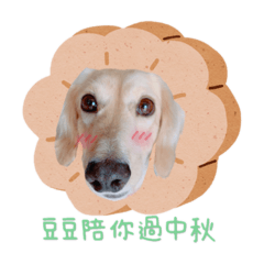 我是可愛的豆豆 陪你過中秋