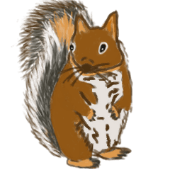 Adult female squirrel sticker