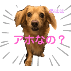 rina_20200925133955
