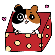 Guinea pig A Bu Lu
