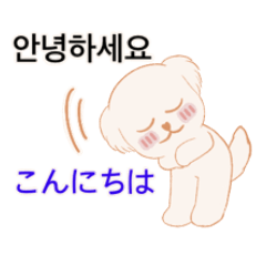 white puppy korea-japan talk JP-KR