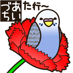 budgerigar ![Ver6](move/response No.2)