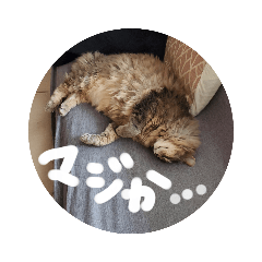 JUNKO_20200925160821