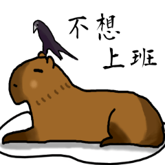 Capybara Daily Dialogues