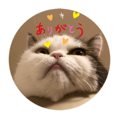 matsu_20200925170629