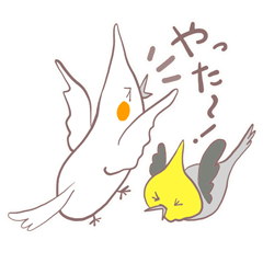 Cockatiels stickers for Daily Chats