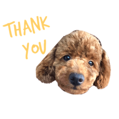 emily_20200925181346