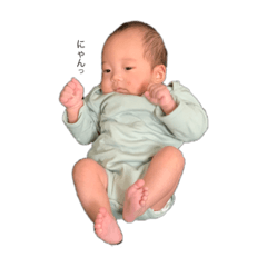 napi_20200925231308