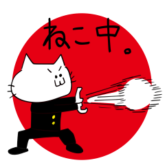 Cat junior high-school student