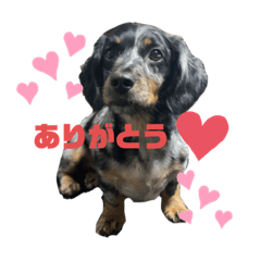 sumire_20200925151143