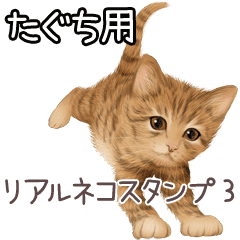 LINE STORE LINE Corporation Link友だちを選択