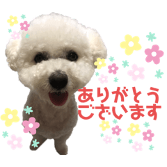 Natsumi_20200925223848