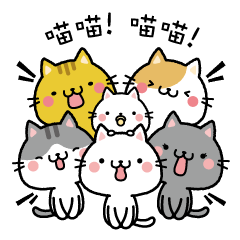 Small cat speak -Taiwan-