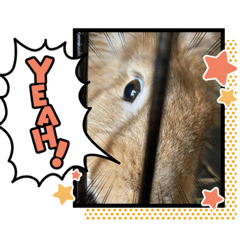 Yurina_20200926014418