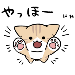 Cream tabby and white cat sticker 2