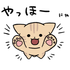 Cream tabby cat sticker 2