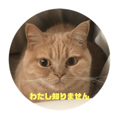 matsu_20200926152139