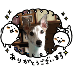 sally_20200926215250